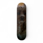 CRAZY DOG skateboards