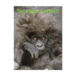Crazy Hair Monkey Too Much Coffee Postcard