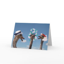 Crazy Hat Day at the Races Cards