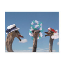 Crazy Hat Day at the Races Post Cards