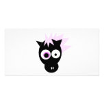 Crazy horse photo cards