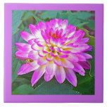 Crazy Love Dahlia Decorative Ceramic Tile