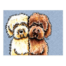 Cream Chocolate Labradoodles Post Card