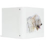 Cream Labradoodle Vinyl Binders