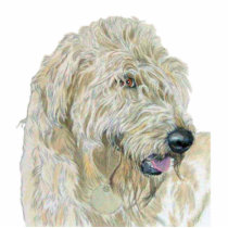 Cream Labradoodle Sculpture photo sculptures