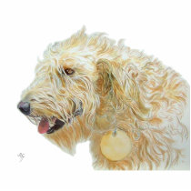 Cream Labradoodle Sculpture photo sculptures