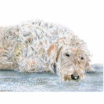 Cream Labradoodle Sculpture photo sculptures