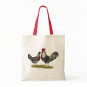 Cream Legbar Chickens bags