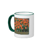 Creamsicle and Orange Tulips mugs