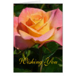 "Creamsicle" Orange Rose Birthday Greeting Card
