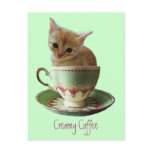 Creamy Coffee kitten postcard