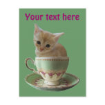Creamy Coffee kitten postcard