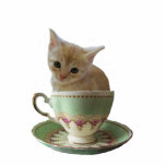 Creamy Coffee photo sculpture photo sculptures