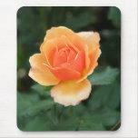 Creamy Orange Modern Rose mousepads