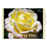 Creamy Yellow Pink Rose Birthday Greeting Card