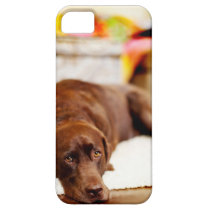 Create Your Own Custom Add Photo iphone 5 Case casemate cases