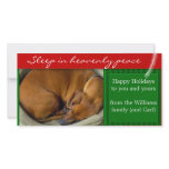 Create your own pet photo holiday card photo cards