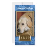 Create your own pet photo holiday card photo cards