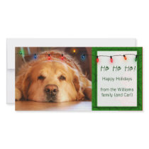 Create your own pet photo holiday card photo card template