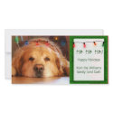 Create your own pet photo holiday card photo cards