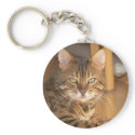 CREATE YOUR OWN PET PHOTO keychains