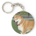 CREATE YOUR OWN PET PHOTO keychains