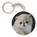 CREATE YOUR OWN PET PHOTO keychains