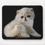 CREATE YOUR OWN PET PHOTO mousepads