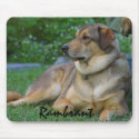 CREATE YOUR OWN PET PHOTO mousepads