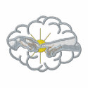 Creation embroidered shirts