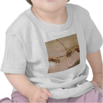 Creation of Adam Shirts