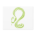 Creative Boa Constrictor Illustration postcards