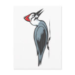 Creative Ivory Billed Woodpecker postcards