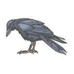 Crebbly Crow Acrylic Cut Outs