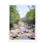 Creek 2 postcard