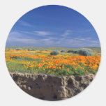 Creek bank  flowers stickers