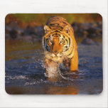 Creek Crossing Tiger usepad