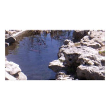 Creek Custom Photo Card
