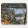Creek In Fall Mousepads