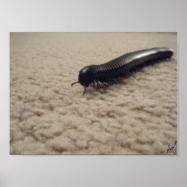 Creeping, Crawling Poster