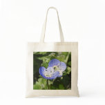 Creeping Speedwell (Veronica filiformis) Flowers bags