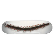 Creepy Centipede Skateboard