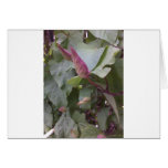 Creepy Crawlies Card