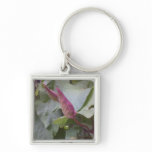 Creepy Crawlies keychains
