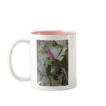 Creepy Crawlies mugs