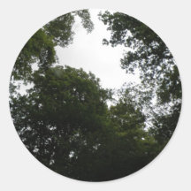 Creepy Forest Stickers