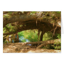 Creepy River Greeting Card