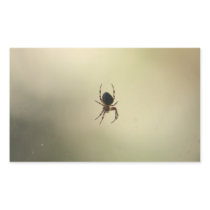 Creepy Spider Rectangle Stickers