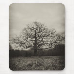 creepy tree mousepads