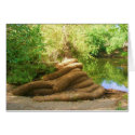 Creepy Tree Trunk cards